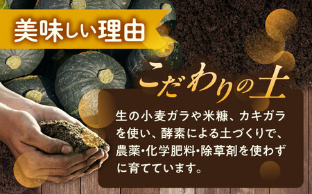 【先行予約】北海道 かぼちゃ 特濃こふき 2個 【9月中旬以降発送】足寄町/足寄アグリバイオ株式会社 [BEAC011]