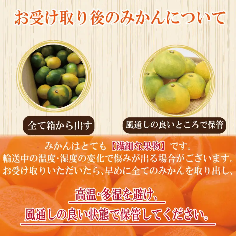 【2026年10月順次発送】 極早生みかん 5kg 温州 みかん