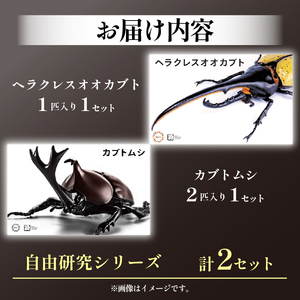 模型 昆虫 自由研究シリーズセット ヘラクレスオオカブト カブトムシ 2セット