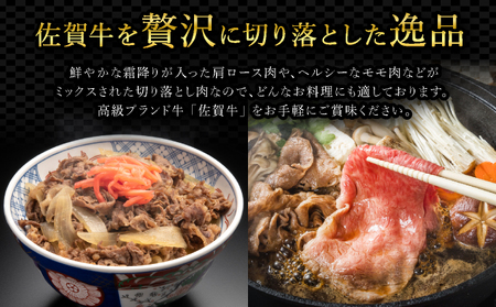 佐賀牛切り落とし500g																											