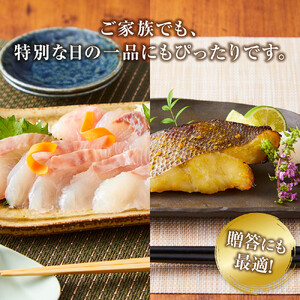 尾道物語セット　(漬魚・一夜干し・お 刺 身)