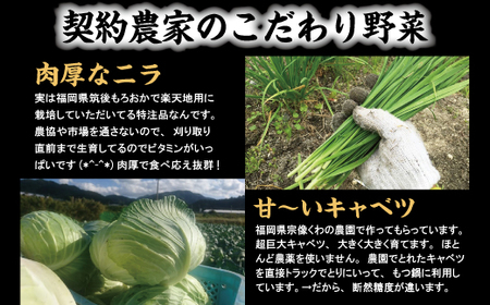 もつ鍋 楽天地 冷凍野菜付き 3~4人用セット | もつ鍋 元祖