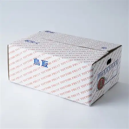 プレミアム新甘泉 3kg【配送不可地域：離島・北海道・沖縄県】【1593374】