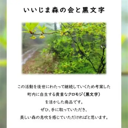 くろもじ茶　1袋(12g×6パック)【1592030】
