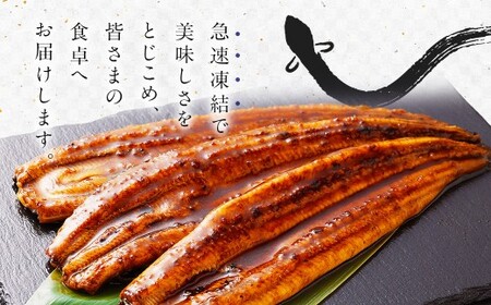 極上鰻！うまい！＜国産 うなぎ蒲焼 3尾 計330g以上＞【MR-g-003-00-01】ふるさと納税 うなぎ 高級 長蒲焼 鰻 夏バテ防止 ウナギ 鰻 かば焼き 蒲焼き 丑の日 タレ 宮崎県産 国産 九州産 宮崎県 高鍋町 送料無料