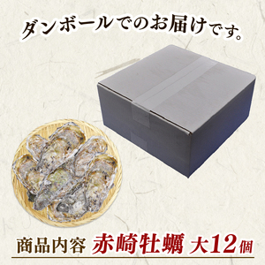 殻付き牡蠣 12個 カンカン焼きのおかわり 加熱用 殻付き牡蠣 加工食品 冷凍 鍋 かき 牡蠣 カキ  オイスター oyster アヒージョ バーベキュー BBQ フライ 揚げ物 ごはん 夕飯 おかず おつまみ 晩酌 米 丼 海産物 海鮮 魚介 魚介類 贈答品 お中元 大船渡 三陸 岩手県 国産 牡蠣