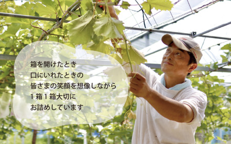 シャインマスカット 岡山県産 大粒シャインマスカット1房700g～ 【KF-B060-03】