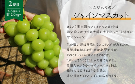 ピオーネとシャインマスカット、たっぷり2kgの2回便！(定期便) (岡山県産)【KF-T005-04】