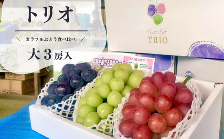 量より質！桃と葡萄と梨の上級品が届く岡山果物便！３回便(定期便) (岡山県産) 【KF-T024-04】