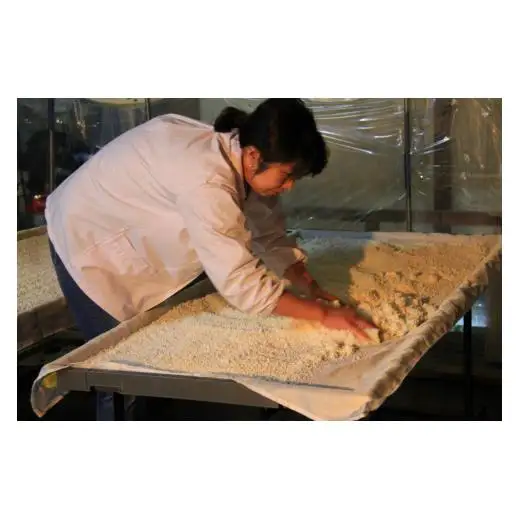 【高波Frozen】しぼりたて生酒を瞬間凍結。凍結酒飲み比べ 特別本醸造＋特別純米酒２種セット 720ml×2本 | 凍結酒 酒 日本酒 凍結 冷凍保存 アルコール 飲み比べ セット しぼりたて フレッシュ 長野県 塩尻市