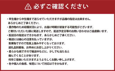 ご家庭用 岡山白桃 4～5玉  計1.2kg 【2026年6月下旬～7月下旬発送予定】 白桃 桃 もも モモ