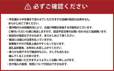 岡山白桃 ロイヤル 3玉  計800g 【2026年7月上旬～7月下旬発送予定】 白桃 桃 もも モモ