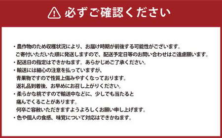 清水白桃 エース 3玉  計750g 【2026年7月上旬～7月下旬発送予定】 白桃 桃 もも モモ