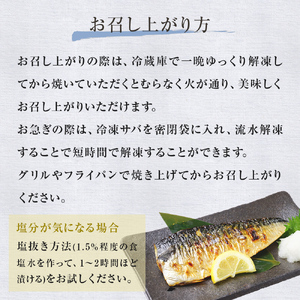 国産 塩さば フィーレ 約160～200g 10枚 サバフィレ 鯖 サバ さば フィレ 切り身 塩サバ 特大 バラ凍結 冷凍 魚 魚介
