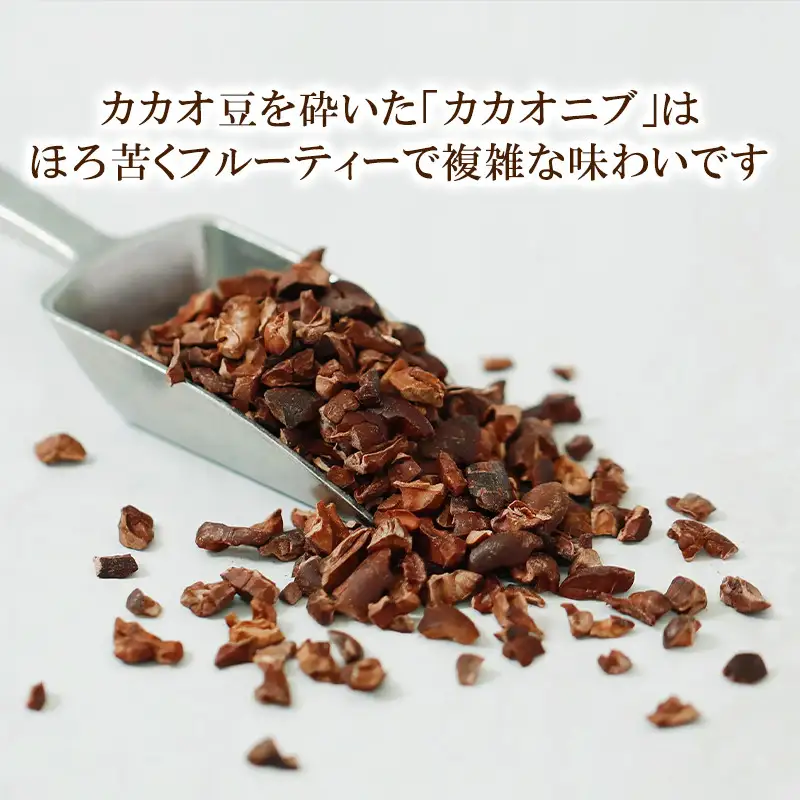 【dari K（ダリケー）】ザクザク食感のカカオニブチョコレートアイス(8個セット)［ 京都 チョコレート カカオを通して世界を変える 濃厚 チョコ アイス 人気 おすすめ お菓子 洋菓子 スイーツ ギフト プレゼント お取り寄せ 通販 送料無料 ふるさと納税 ］