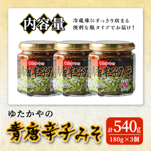 ゆたかやの 青唐辛子みそ 180g×3個 ご飯のお供に 調味味噌 青唐辛子 味噌 青とうがらし 南蛮 調味料 おかず 味噌おにぎり 味噌田楽 【豊屋食品工業株式会社】sh043