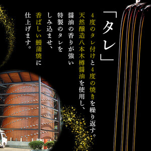 八本木樽鰻2尾＆お茶セット うなぎ蒲焼(156g以上×2尾)＆煎茶さがの(100g) 鰻 タレ たれ さんしょう 山椒付 お茶 緑茶 鹿児島県産 国産 セット 冷凍 おかず おつまみ お祝い 惣菜 a5-330