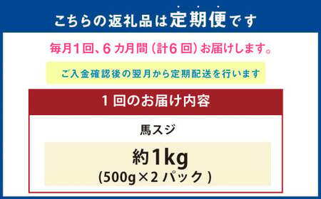 【6ヶ月定期便】 馬スジ 1kg （500g×2パック） 計6kg 馬肉 馬 お肉 肉 おかず 冷凍