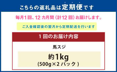 【12ヶ月定期便】 馬スジ 1kg （500g×2パック） 計12kg 馬肉 馬 お肉 肉 おかず 冷凍