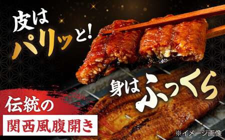 うなぎ満足セット[AQDF017] 鰻 しぐれ煮 佃煮 国産 おむすび 鰻 おにぎり 活うなぎ セット