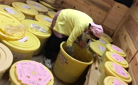 米麹味噌 セット 800g × 3個 米麹 麹味噌 生米麹 麹 味噌 調味料 味噌汁 熟成 手作り 冷蔵 冷蔵配送 静岡 静岡県 河津 河津町
