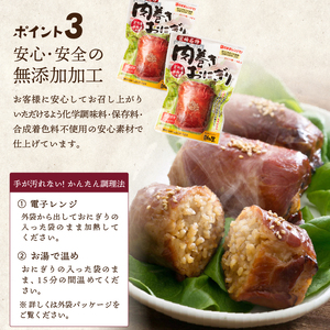 ＜2週間以内発送！＞ 肉巻きおにぎり(計3.6kg・120g×30P) 豚肉  小分け 常温 【AP-53】【株式会社 日向屋】