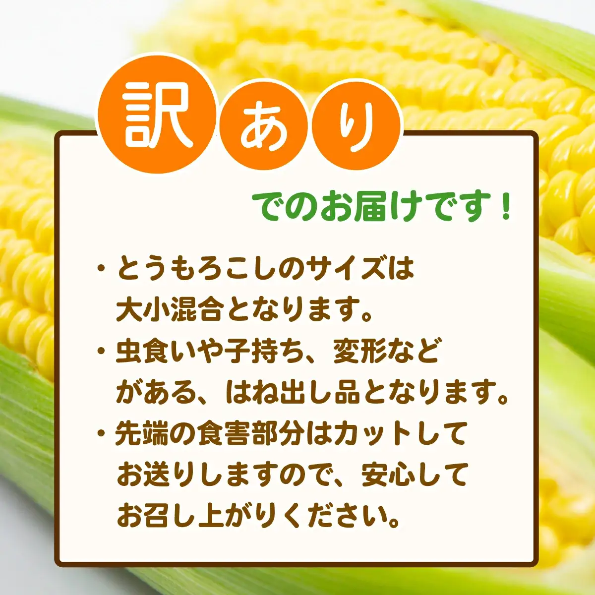 とうもろこし 訳あり おおもの 約6kg 先行予約 トウモロコシ
