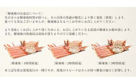[053-b012] カット済ズワイ蟹ハーフポーション 1.2kg（600g × 2箱）