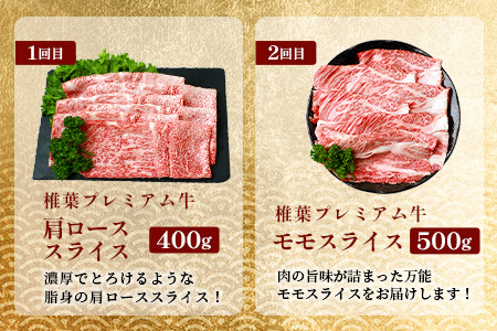 お試し定期便 【 定期便 3回 】 総重量 1,900g 牛肉 椎葉プレミアム牛の スライス肉 ＆ 切り落とし肉 定期便 【 日本三大秘境 椎葉村 育ちの黒毛和牛 】 牛肉 椎葉牛 椎葉プレミアム牛 定期便 肉 スライス肉 切り落とし肉 A5等級指定 黒毛和牛 A5ランク TK-101