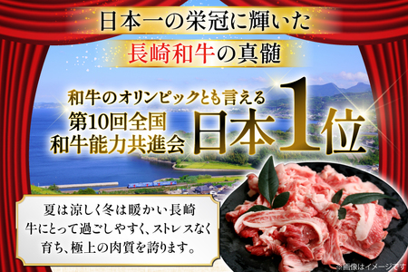 和牛 切り落とし 霜降り肉 定期便 長崎和牛 切り落し 500g 6回 総計3kg [大川ストアー 長崎県 東彼杵町 hs42bag580075]