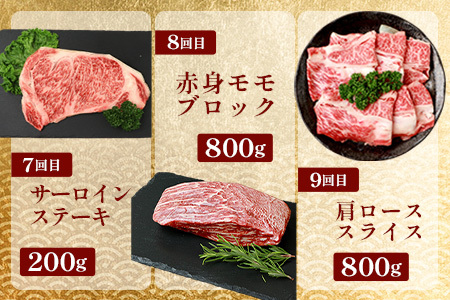 【 定期便 全10回 】 10ヶ月連続でお届け！ 牛肉 オール椎葉牛大満足セット 総重量 5,180g 【 日本三大秘境 椎葉村 育ちの黒毛和牛 】 牛肉 ステーキ 精肉 ホルモン モモ肉 ヒレ肉 定期便 肉 スライス肉 サーロイン A5等級指定 黒毛和牛 A5ランク TK-105
