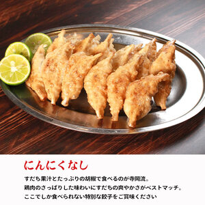 冷凍餃子 にんにくあり なし 食べ比べ 各1パック 餃子