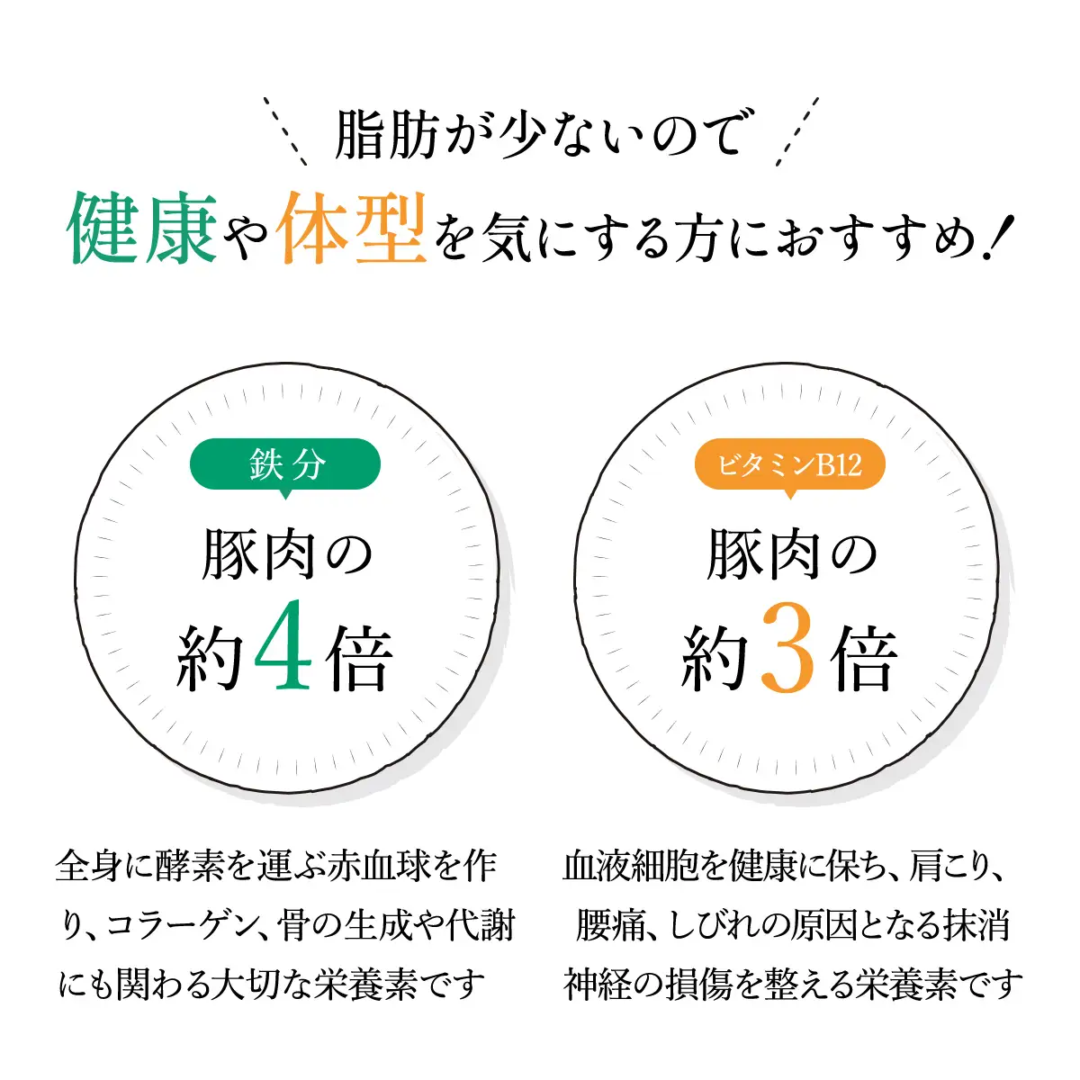 ジビエジャポン猪カレー　5箱セット(200g×5P) MBQ001