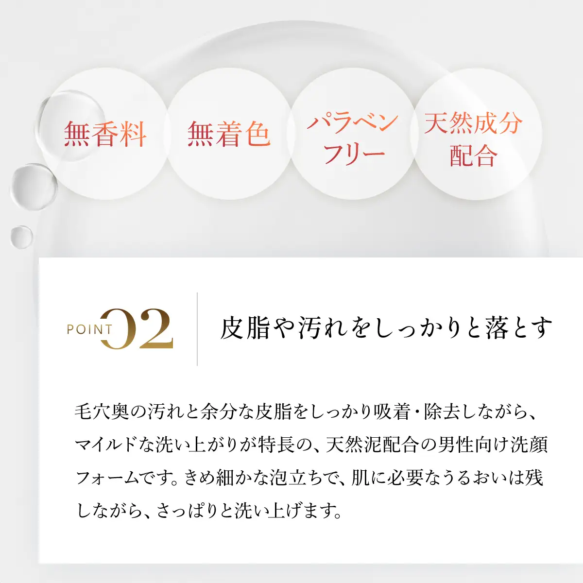 66460_DHCクレイ フェース ウォッシュ 2個セット【DHC for MEN ハイライフ】 MBB034