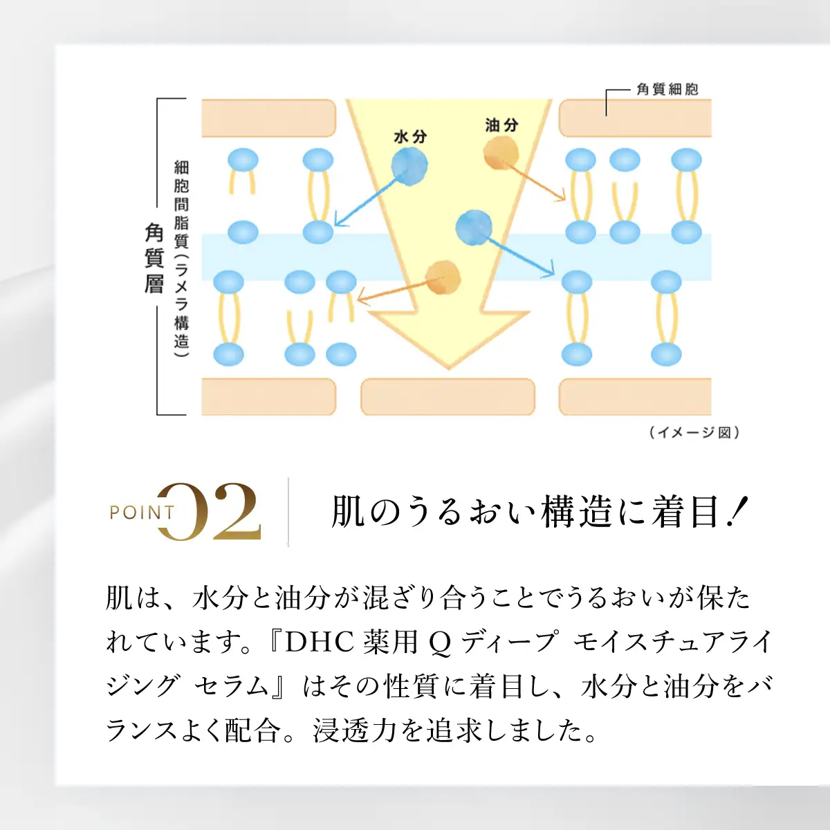 66459_DHC薬用Qディープ モイスチュアライジング セラム(医薬部外品) MBB047