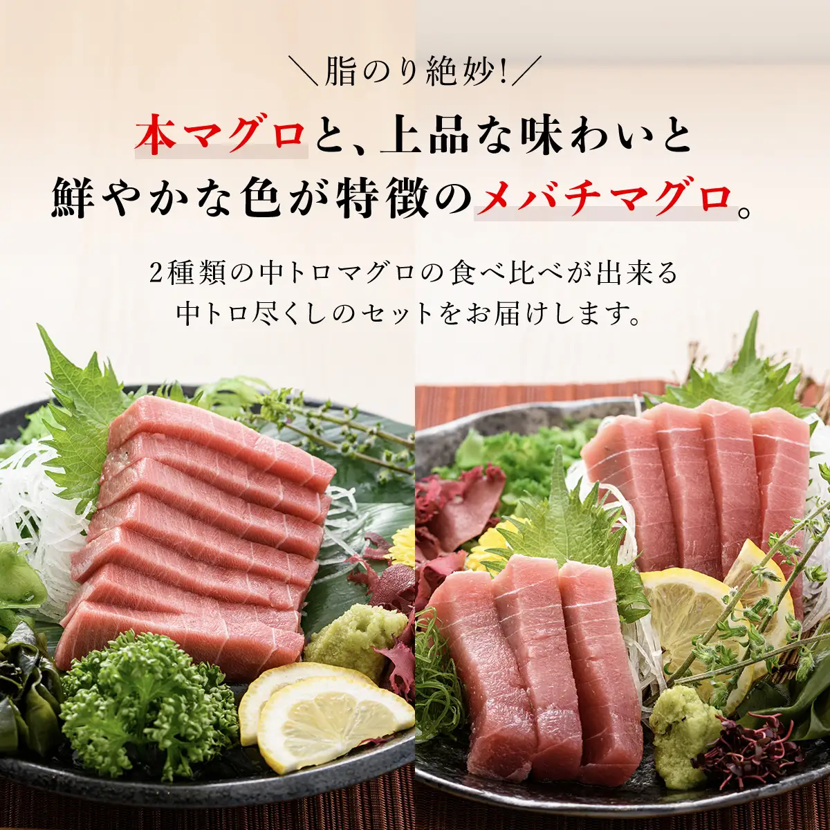 豪華!中トロセット!マグロ 中トロセット(本マグロ600g+メバチマグロ600g) MBT003