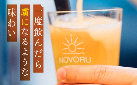 おまかせMIX12缶セット ビール アルコール 飲料 大麦 大麦麦芽 ホップ ローカル ご当地 贈り物 ギフト お歳暮 お中元 缶ビール 缶 さけ 酒 お酒 宮崎ビール ブルワリー ノボルブルーイング クラフトビール 地ビール ノボル 冷蔵便 飲み比べ おまかせ