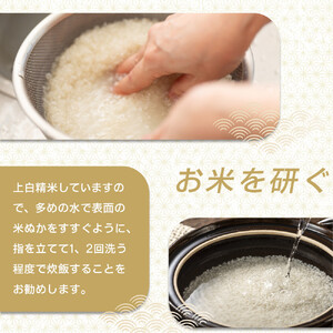 【令和7年産】ツキノワのコシヒカリ 精米 10kg ｜お米 白米 ご飯 コメ 栃木県 大田原市 