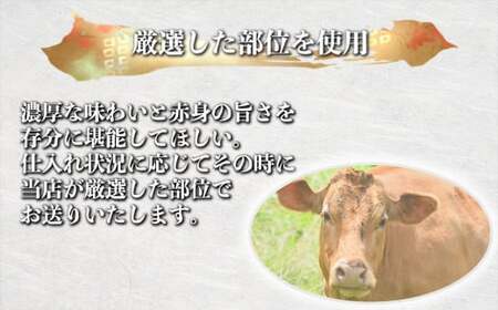 あか牛 切り落とし スライス 約500g （約250g×2パック） 赤牛 和牛 国産和牛 牛肉 お肉 肉 切落し 薄切り 小分け 熊本県 熊本市 冷凍