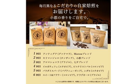 Morrow珈琲 12ヵ月定期便&コーヒーミル・スマートG【増量】レギュラーコーヒー 珈琲 コーヒー 珈琲粉 コーヒー豆 珈琲豆 ドリップコーヒー ドリップ 自家焙煎珈琲 自家焙煎コーヒー 12回 お楽しみ 福岡 福岡県 小郡市
