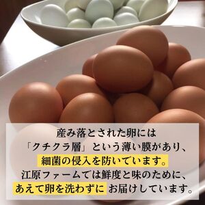 【定期便6か月】 江原ファーム　地養卵＆アローカナハーフセット（計20個）| 卵 たまご タマゴ _AG26