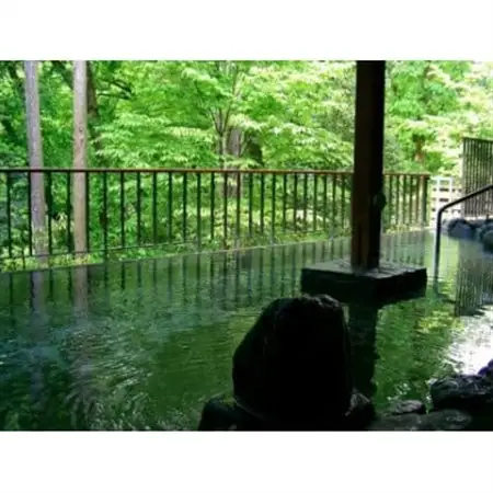 瀬音の湯入浴券　2枚セット【1391369】