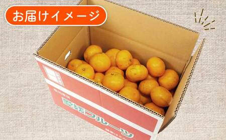 南柑20号 5.5kg ～ 6kg サイズミックス ふるくとファーム  かなこちゃんち 温州みかん 温州みかん B015-037009