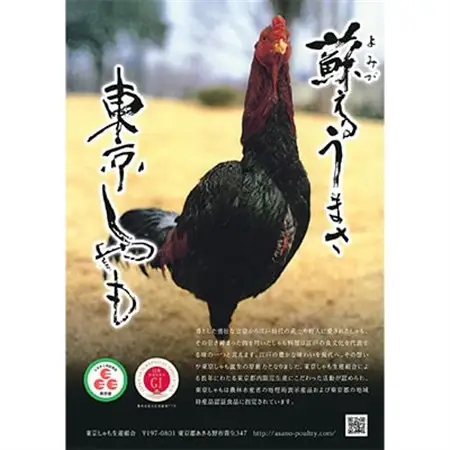 【よみがえる江戸の味】東京しゃも　もも肉・むね肉　スライス　1kg(500g×2)　(浅野養鶏場)【配送不可地域：離島】【1429795】