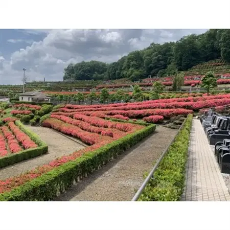 西多摩霊園　墓地購入(契約)のご利用券(450,000円分)【1515912】