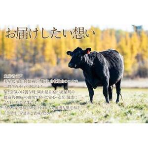 岡山　黒毛和牛　美星牛　A４等級以上　牛脂付き サーロイン　サーロインステーキ　約４００g　 約２００g×２枚　美星牧場