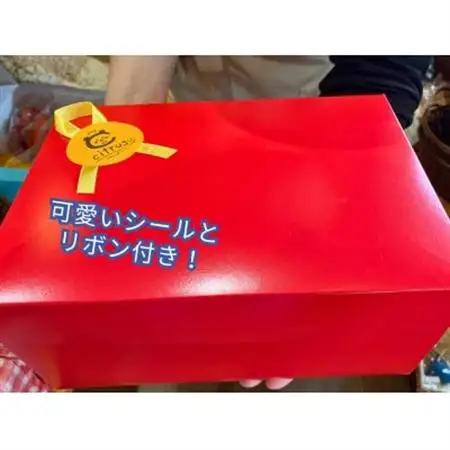 福岡県大牟田市製造の焼きドーナツ10個入り【1607744】