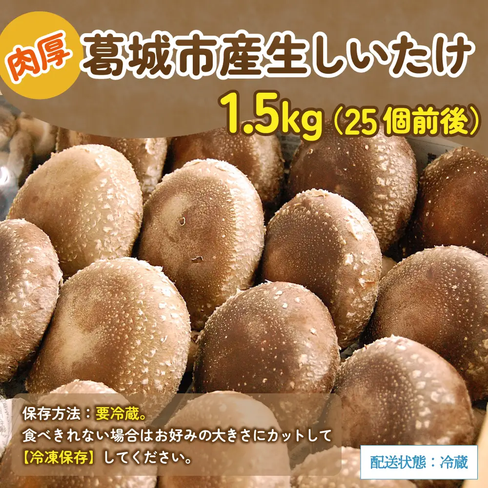 葛城市産生しいたけ（1.5kg） 25個前後 椎茸 シイタケ 生 国産 セット 1.5kg 新鮮 菌床 スライス 奈良県 葛城市【kobo005】