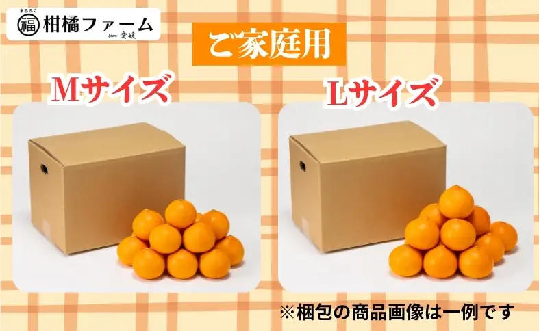 【2027年先行予約】愛果48号 3kg 訳あり ご家庭用 【2027年3月上旬発送予定】 農園直送 みかん 愛媛 人気 数量限定 柑橘 伊予市｜B444