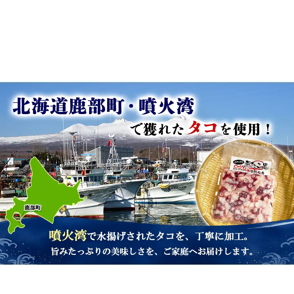 北海道産 ボイルタコ足 ぶつ切り 1kg(500g×2) ミズダコ ボイル済み 煮たこ足